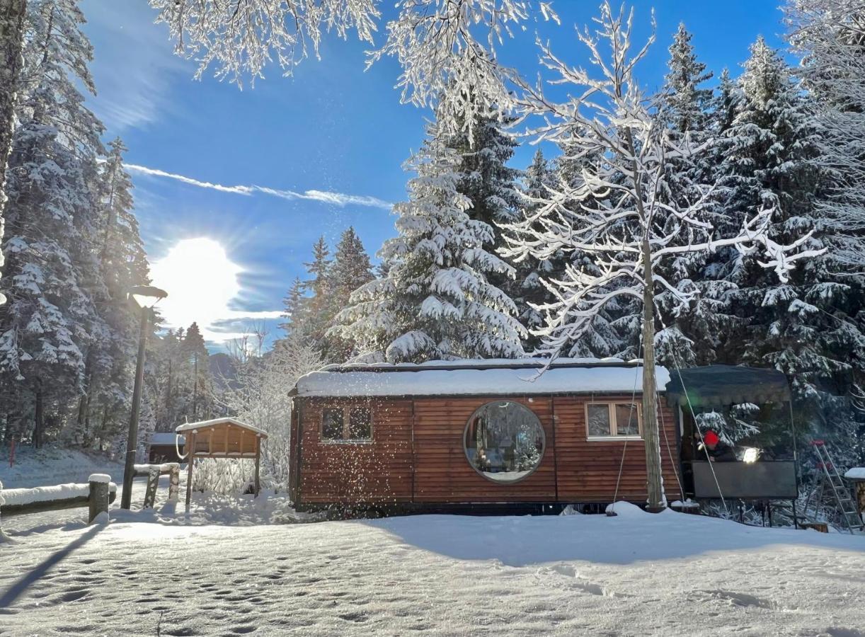 Typically Swiss Hotel Ermitage คันเดอร์ชเตค ภายนอก รูปภาพ